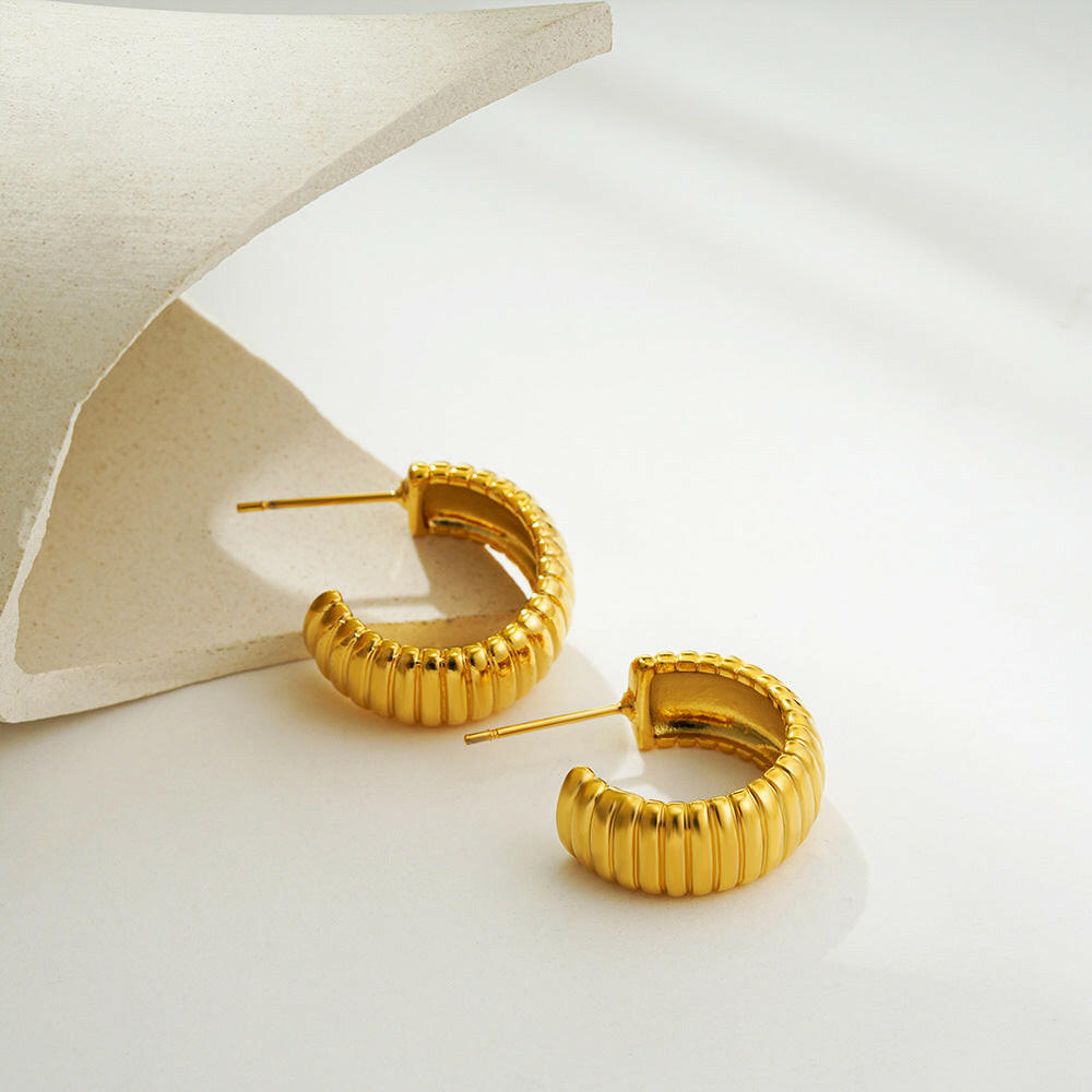 Earrings Gold Plated PVD