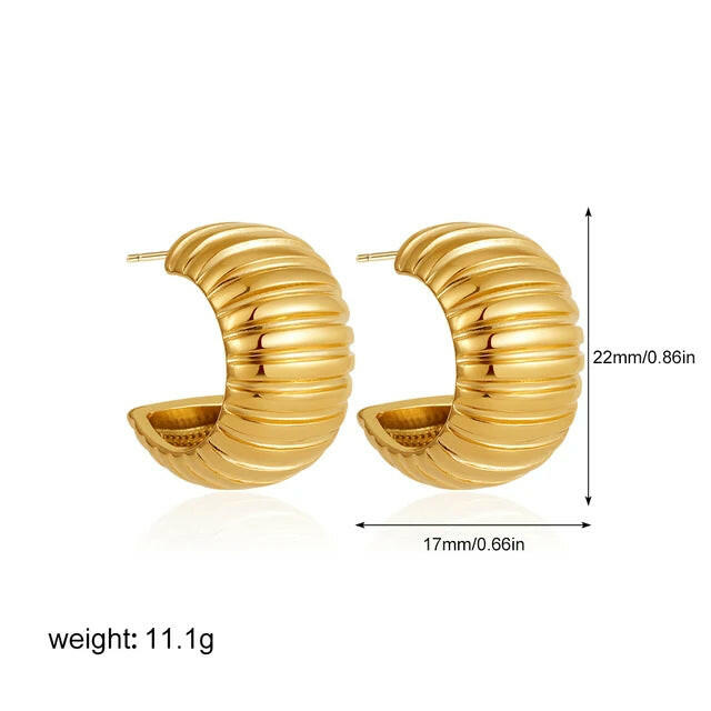 Earrings Gold Plated PVD